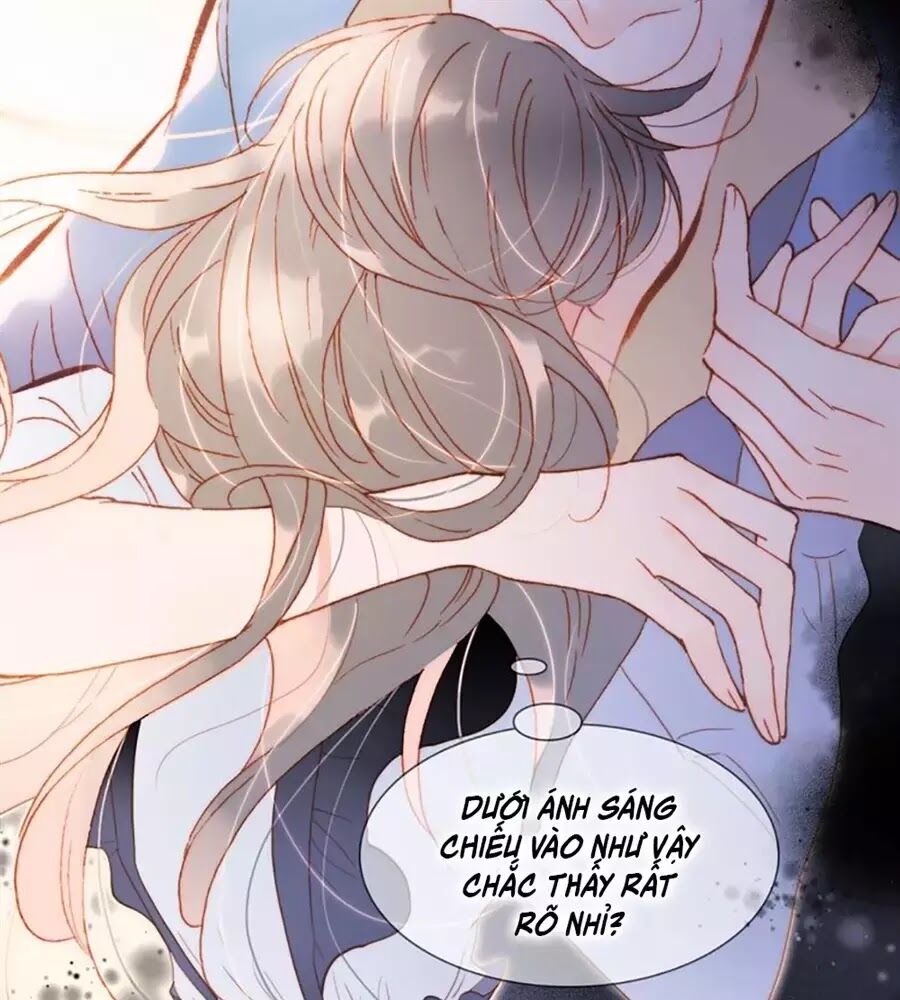 Tiếng Đàn Lặng Câm Giữa Lòng Vũ Trụ: Chapter 75