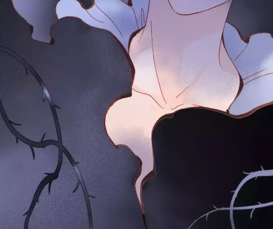 Tiếng Đàn Lặng Câm Giữa Lòng Vũ Trụ: Chapter 75