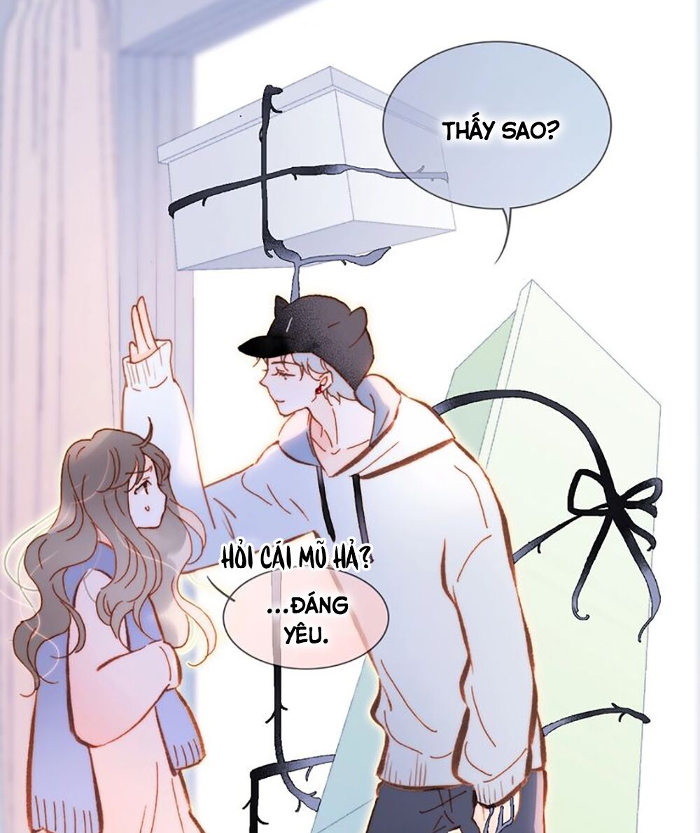 Tiếng Đàn Lặng Câm Giữa Lòng Vũ Trụ: Chapter 80