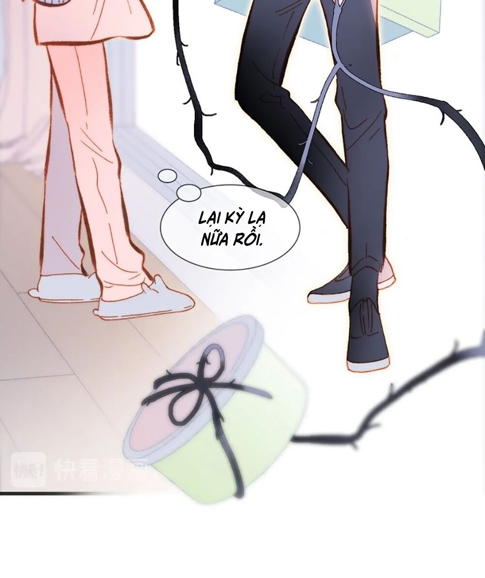 Tiếng Đàn Lặng Câm Giữa Lòng Vũ Trụ: Chapter 80