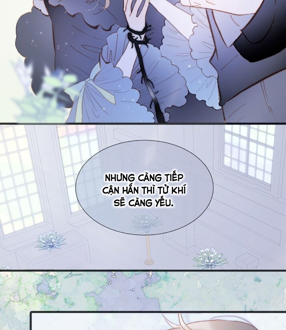 Tiếng Đàn Lặng Câm Giữa Lòng Vũ Trụ: Chapter 94