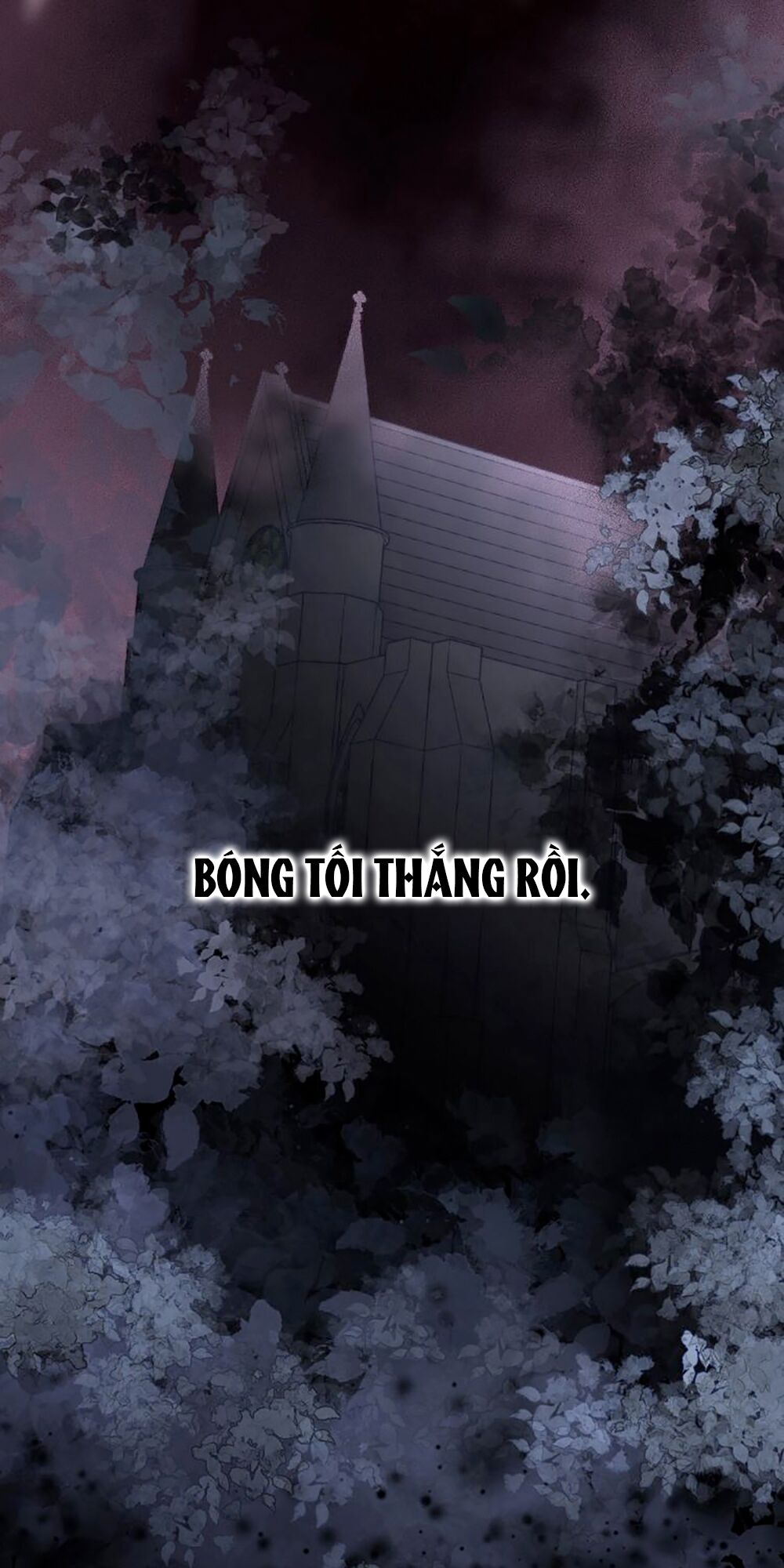 Tiếng Đàn Lặng Câm Giữa Lòng Vũ Trụ: Chapter 94