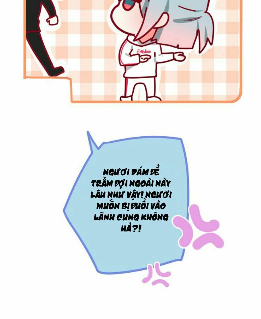 Tháng Sáu Không Hẹn Mà Gặp: Chapter 5