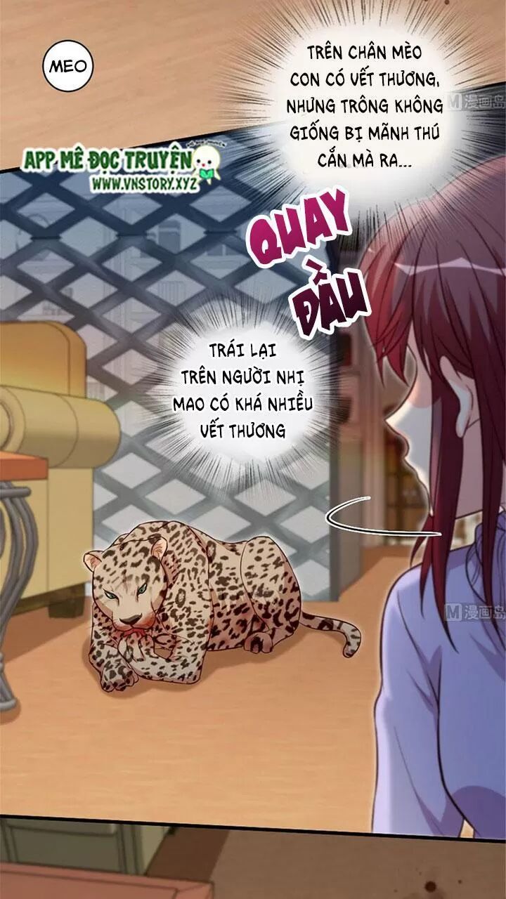 Thiên hậu trở về: Chapter 187