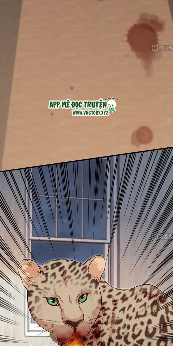 Thiên hậu trở về: Chapter 187