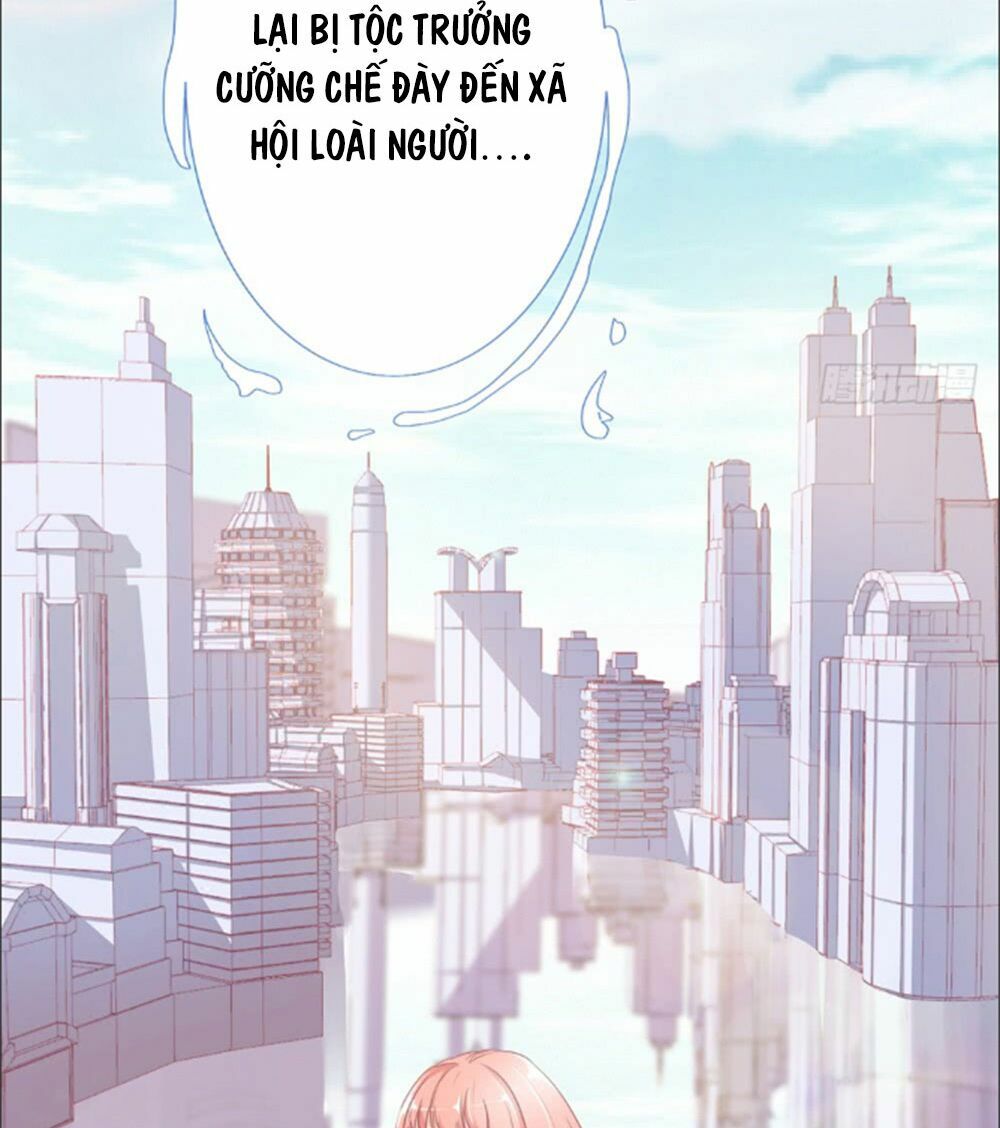 Cẩm Lý thiếu nữ của tôi: Chapter 1