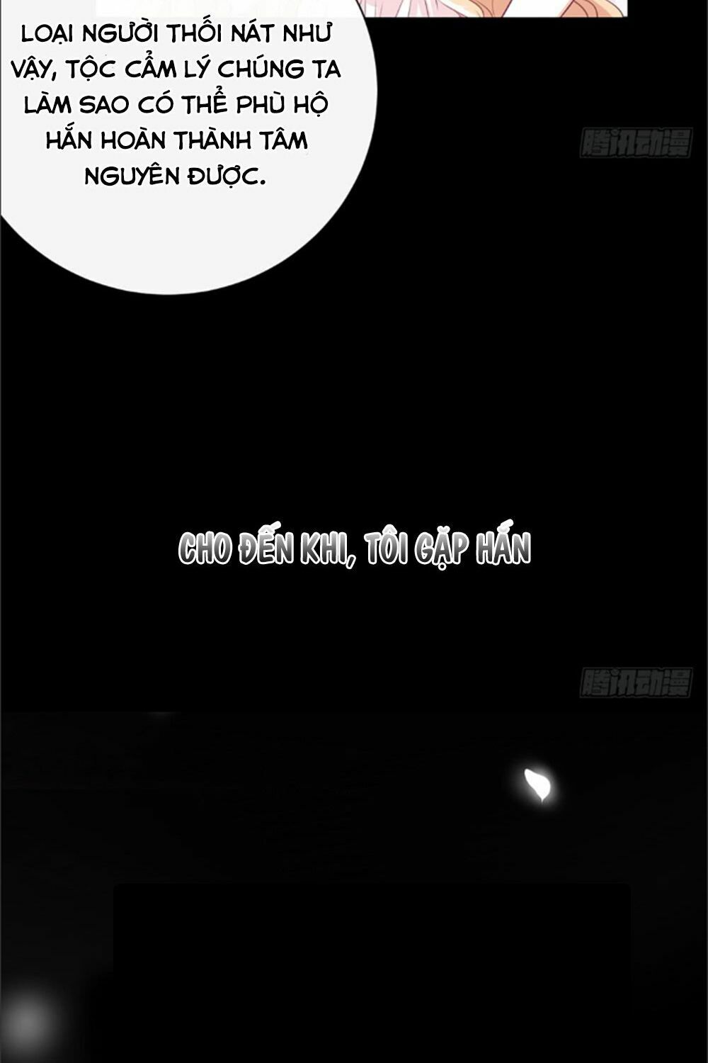 Cẩm Lý thiếu nữ của tôi: Chapter 1