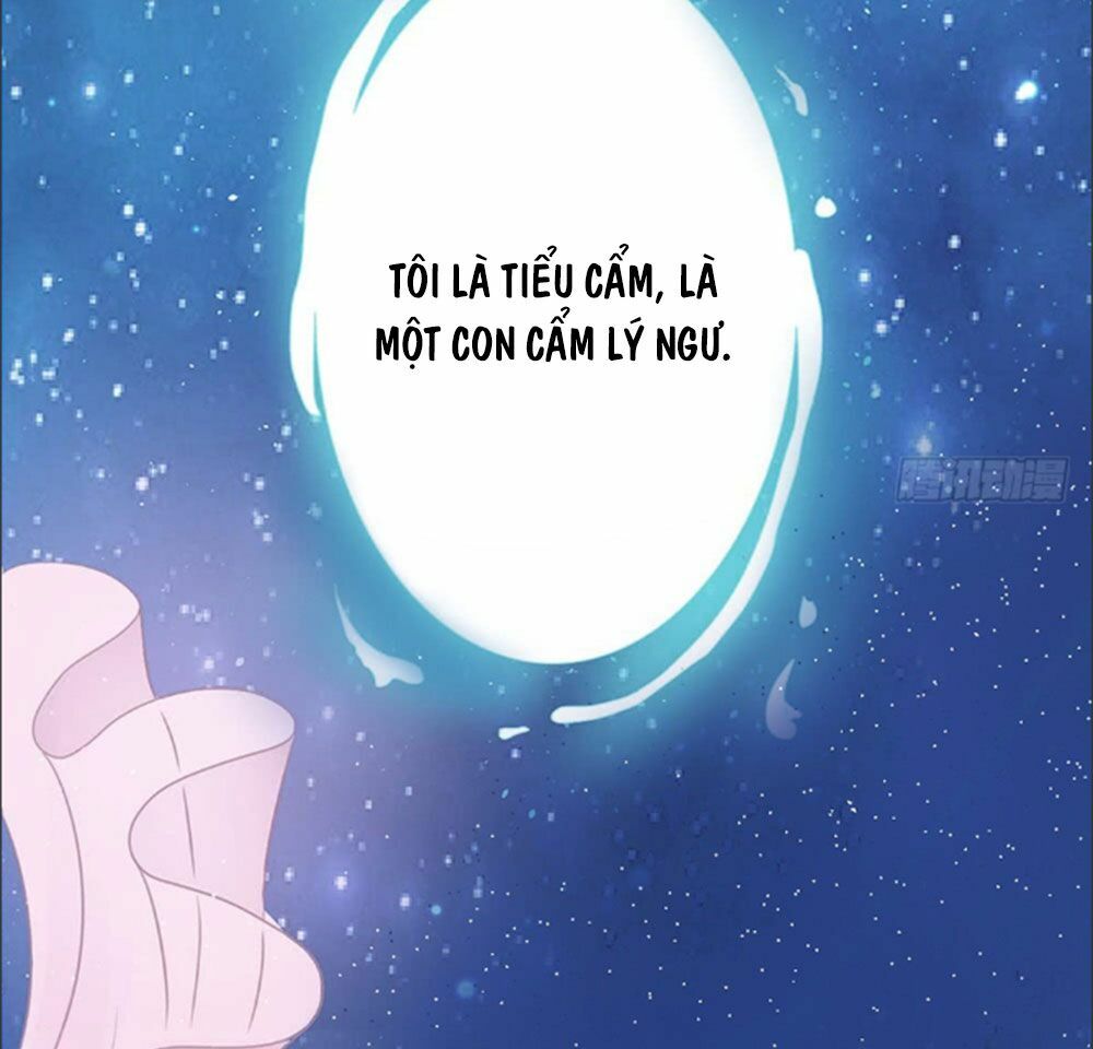 Cẩm Lý thiếu nữ của tôi: Chapter 1