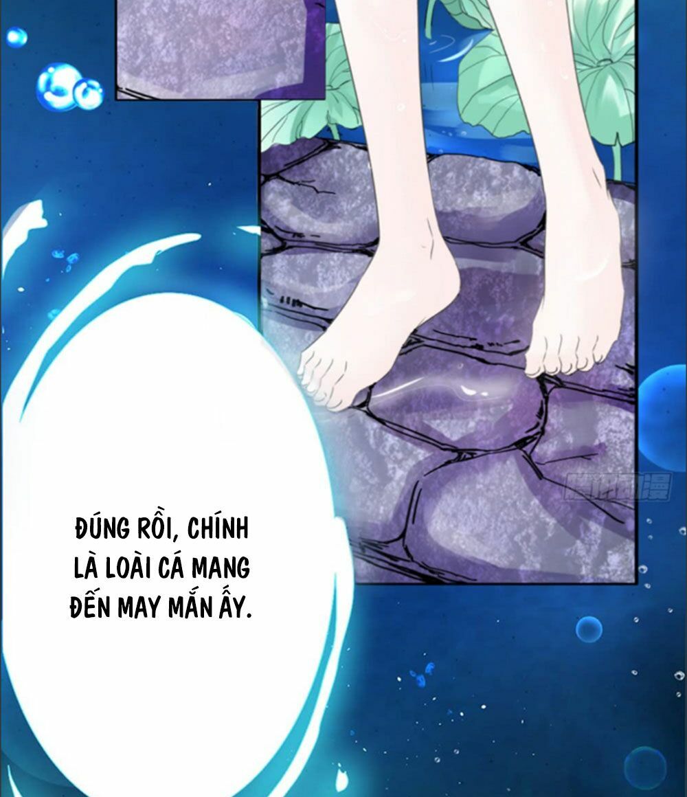 Cẩm Lý thiếu nữ của tôi: Chapter 1
