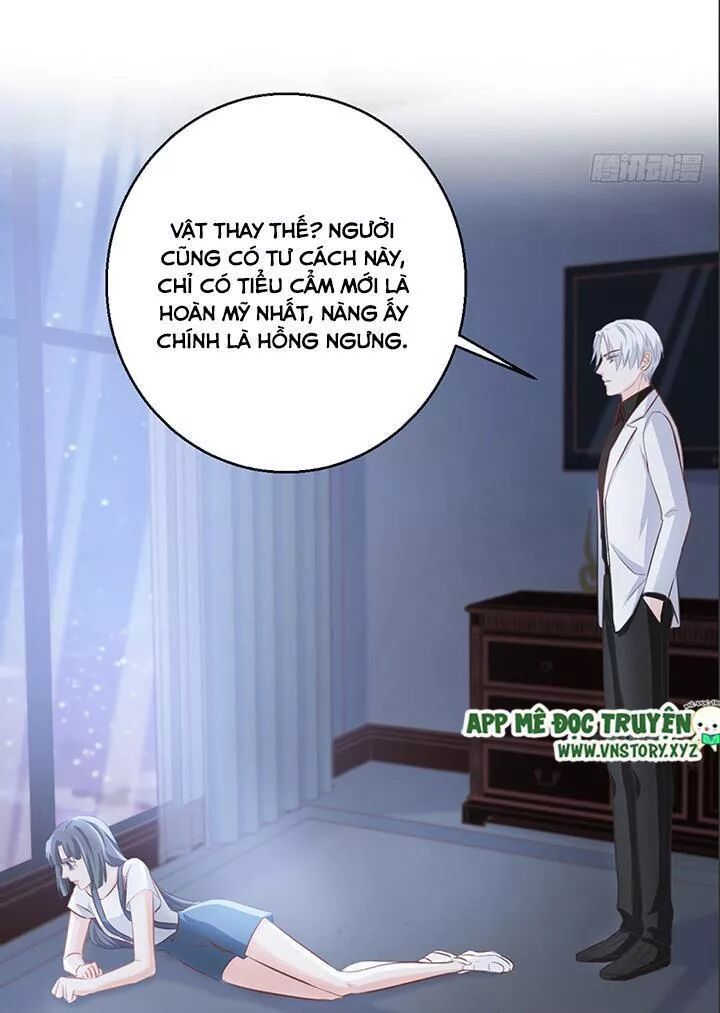 Cẩm Lý thiếu nữ của tôi: Chapter 102