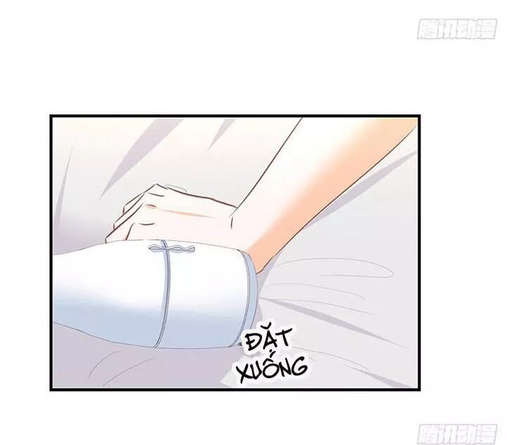 Cẩm Lý thiếu nữ của tôi: Chapter 104