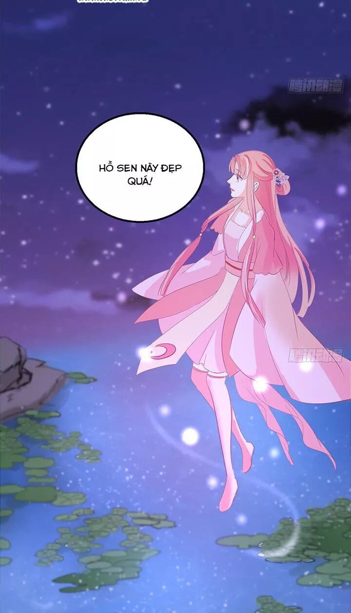 Cẩm Lý thiếu nữ của tôi: Chapter 114