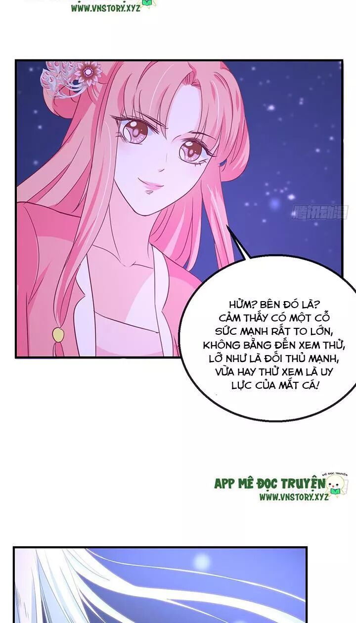 Cẩm Lý thiếu nữ của tôi: Chapter 114