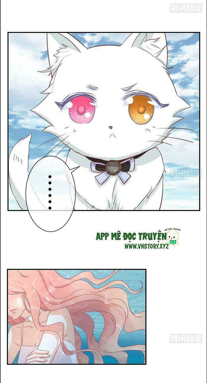Cẩm Lý thiếu nữ của tôi: Chapter 18