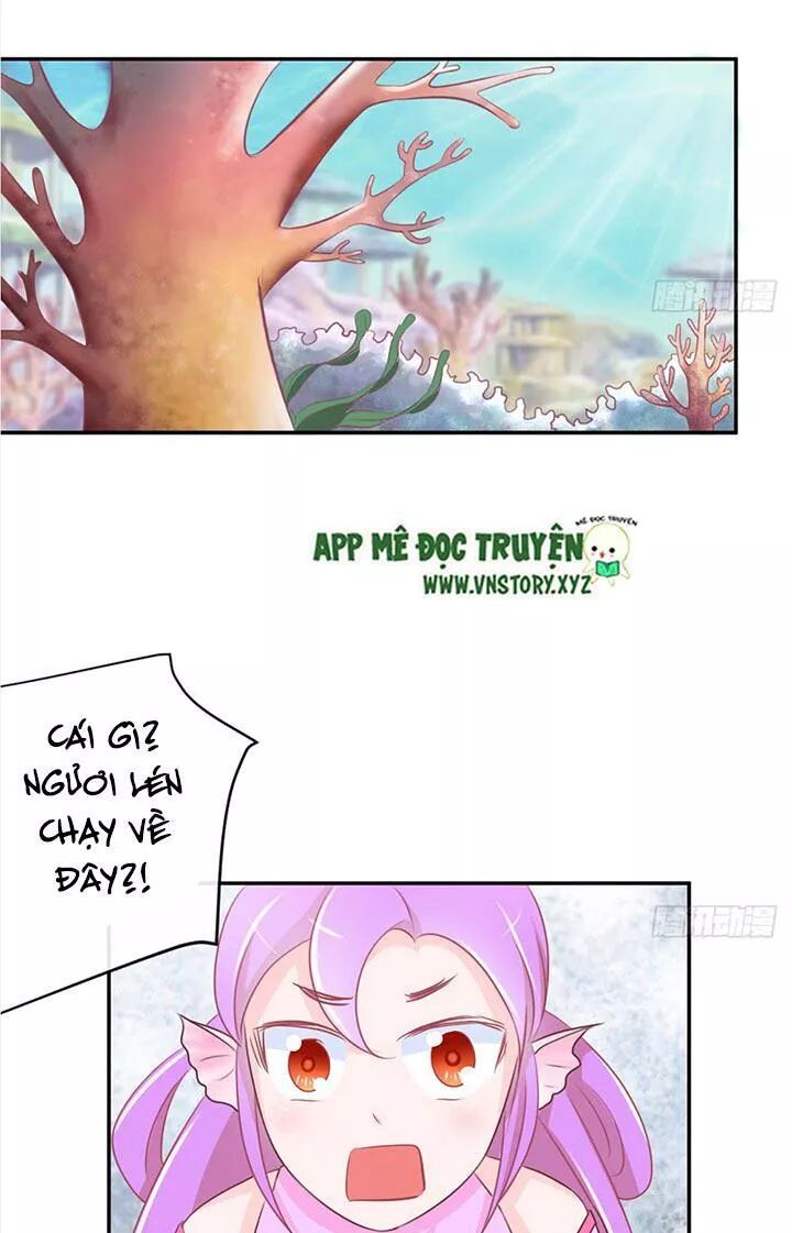 Cẩm Lý thiếu nữ của tôi: Chapter 23