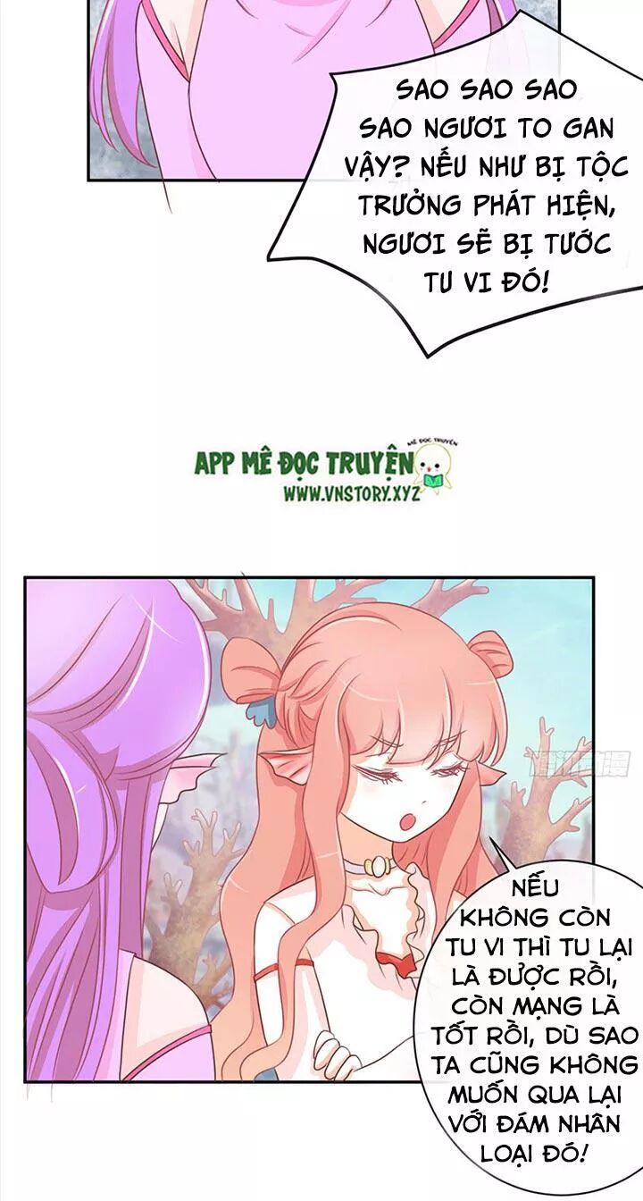 Cẩm Lý thiếu nữ của tôi: Chapter 23