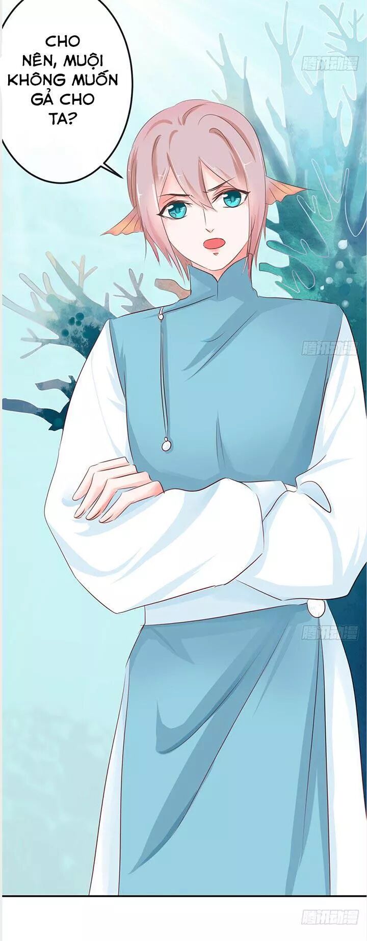 Cẩm Lý thiếu nữ của tôi: Chapter 23