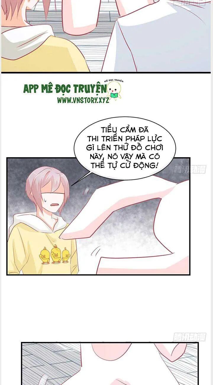 Cẩm Lý thiếu nữ của tôi: Chapter 28