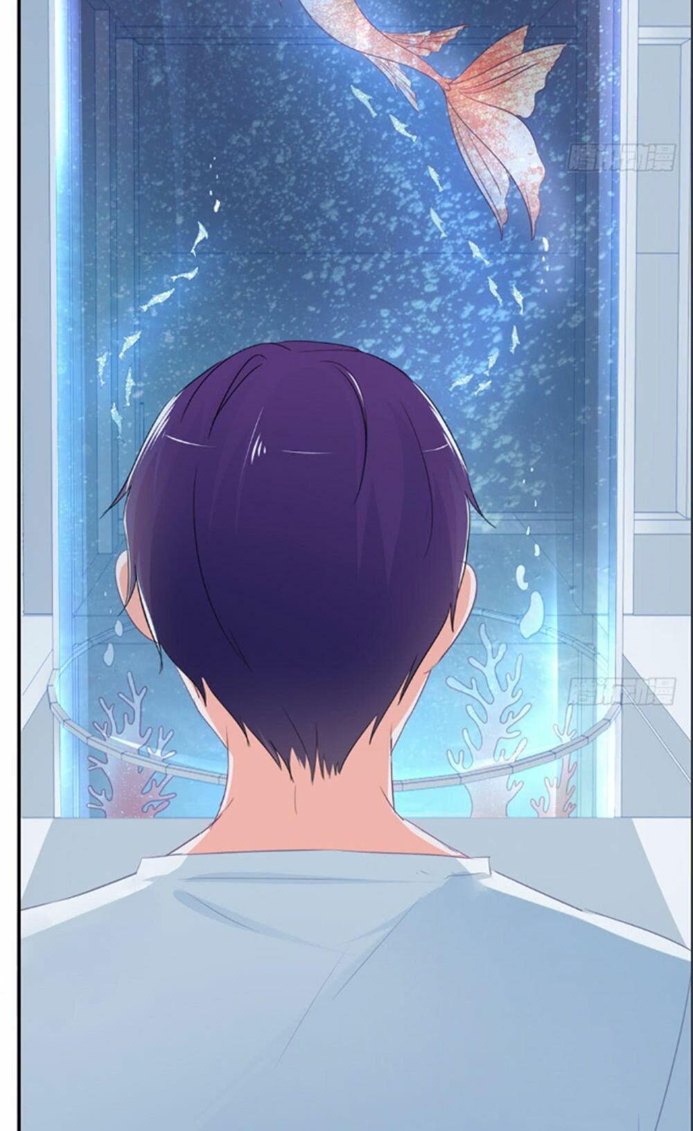 Cẩm Lý thiếu nữ của tôi: Chapter 4.2