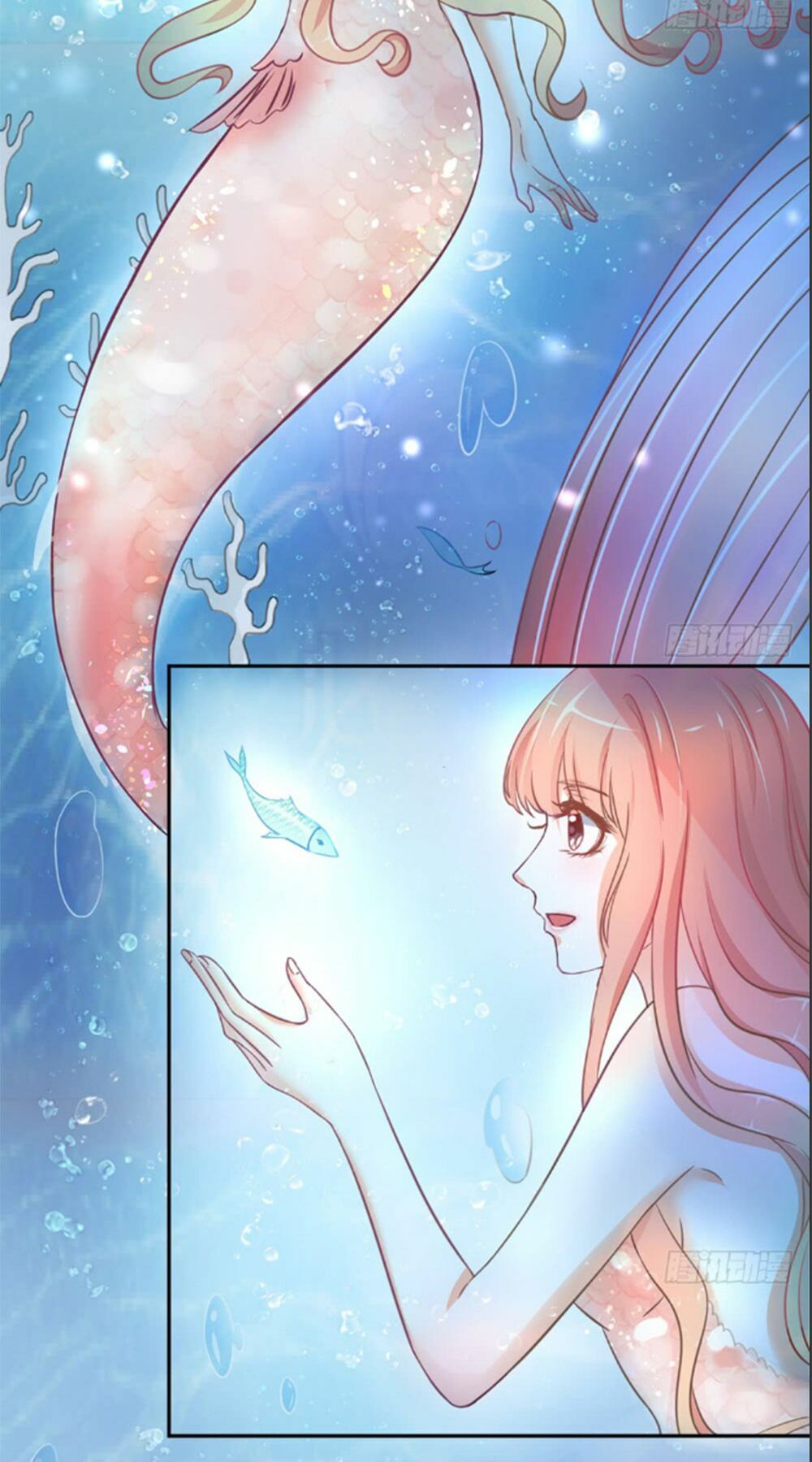 Cẩm Lý thiếu nữ của tôi: Chapter 4.2