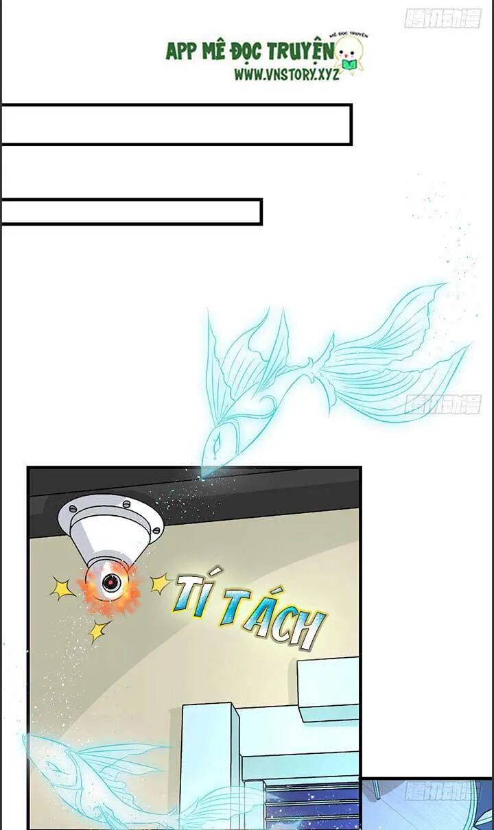 Cẩm Lý thiếu nữ của tôi: Chapter 43