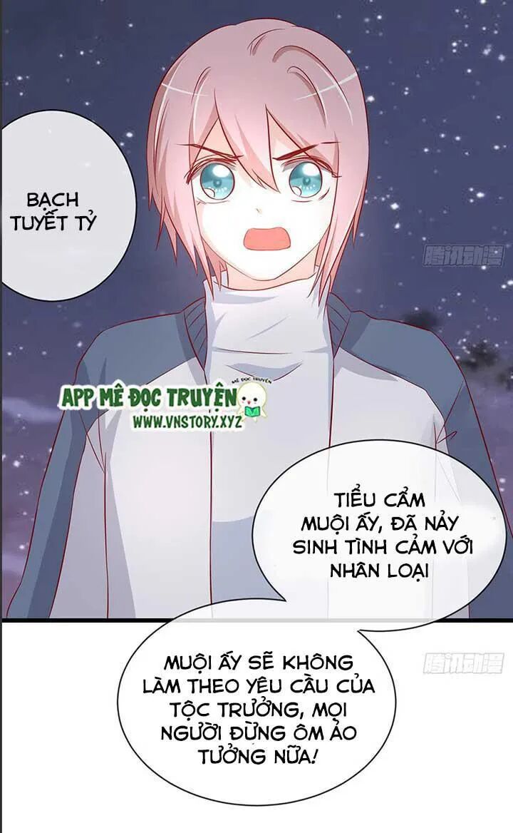 Cẩm Lý thiếu nữ của tôi: Chapter 52