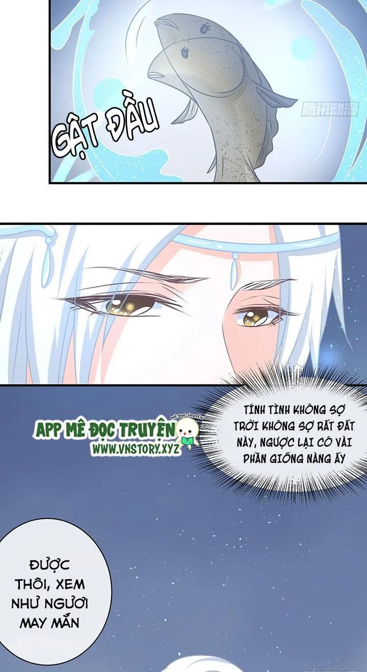 Cẩm Lý thiếu nữ của tôi: Chapter 62