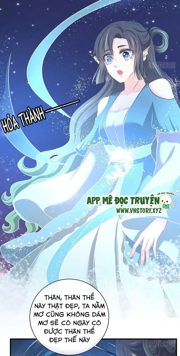Cẩm Lý thiếu nữ của tôi: Chapter 62