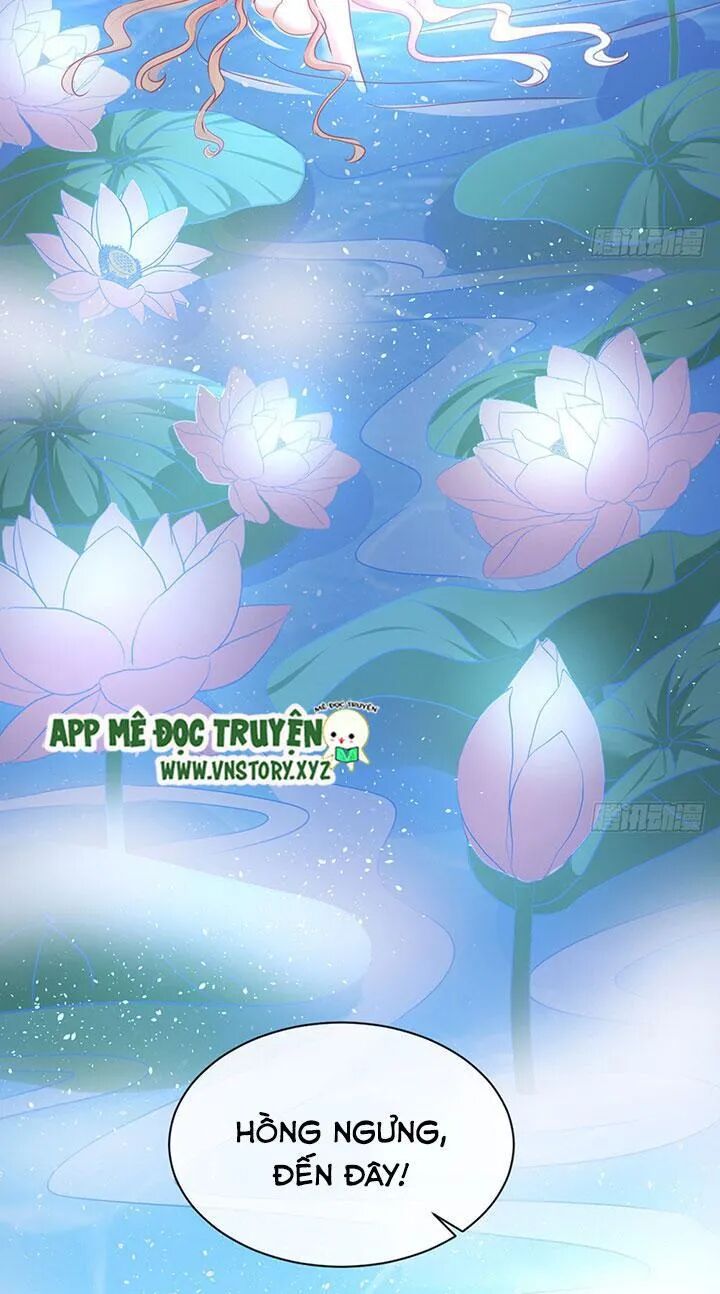 Cẩm Lý thiếu nữ của tôi: Chapter 65