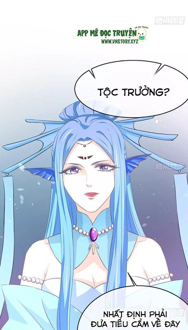 Cẩm Lý thiếu nữ của tôi: Chapter 90