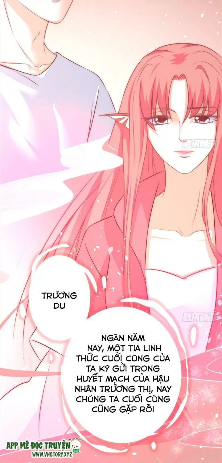 Cẩm Lý thiếu nữ của tôi: Chapter 95