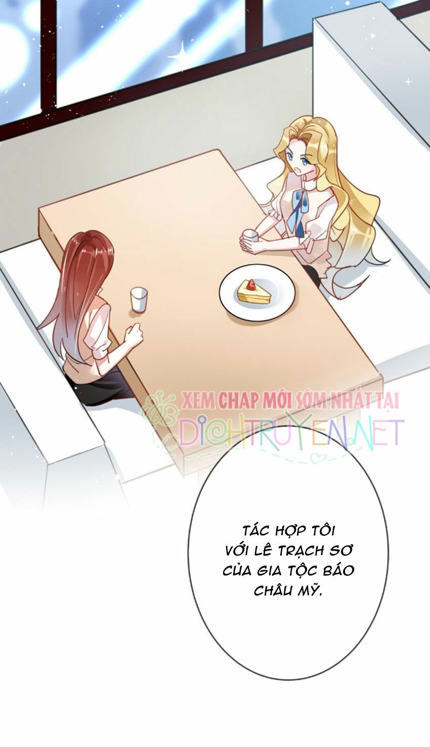 Em là bạc hà mèo của tôi: Chapter 20