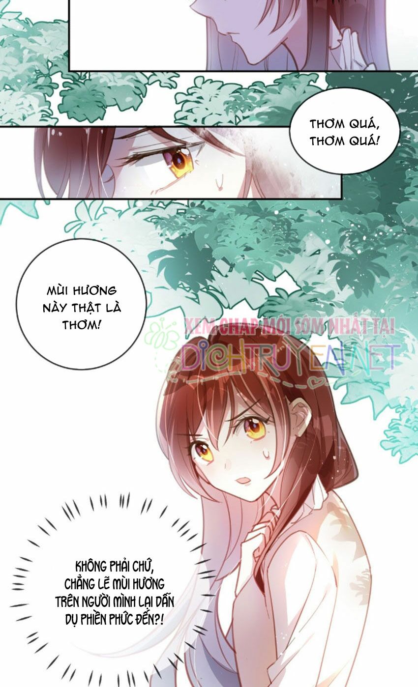 Em là bạc hà mèo của tôi: Chapter 20