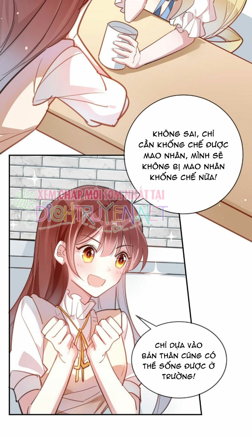Em là bạc hà mèo của tôi: Chapter 20