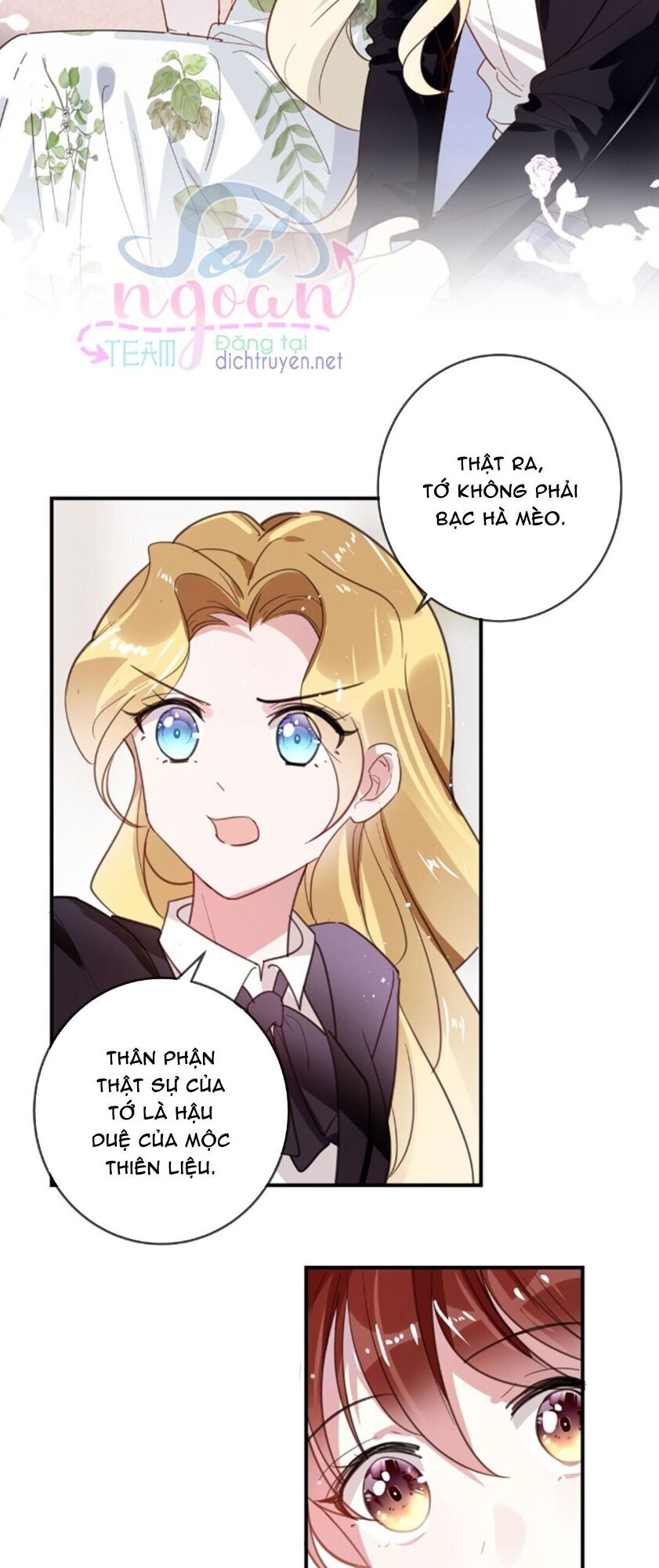 Em là bạc hà mèo của tôi: Chapter 37