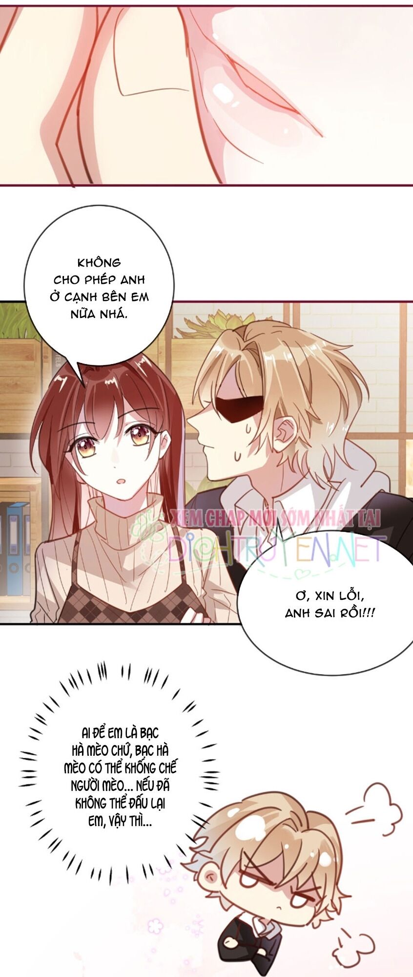 Em là bạc hà mèo của tôi: Chapter 40