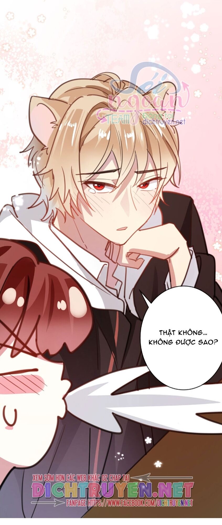 Em là bạc hà mèo của tôi: Chapter 40