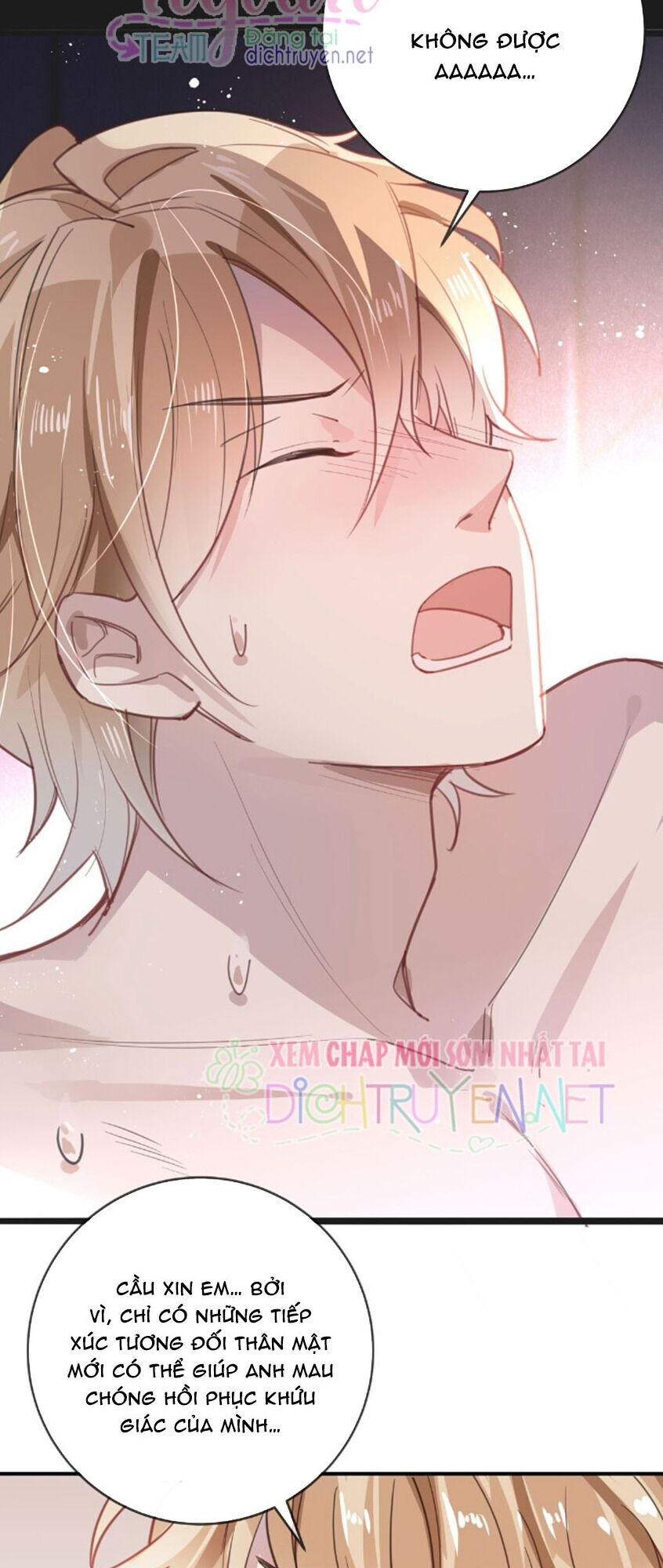 Em là bạc hà mèo của tôi: Chapter 40