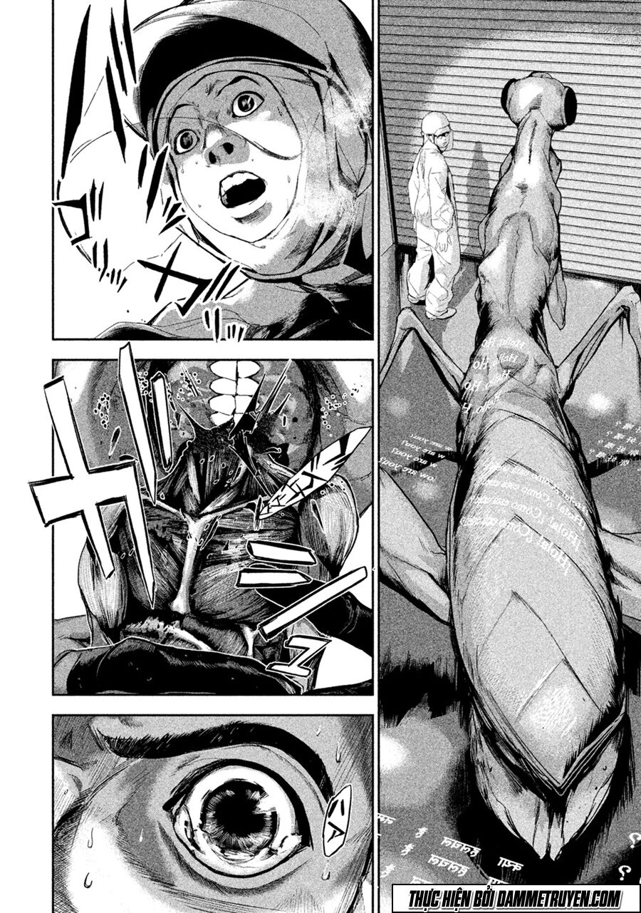 Shokuryou Jinrui: Chapter 5