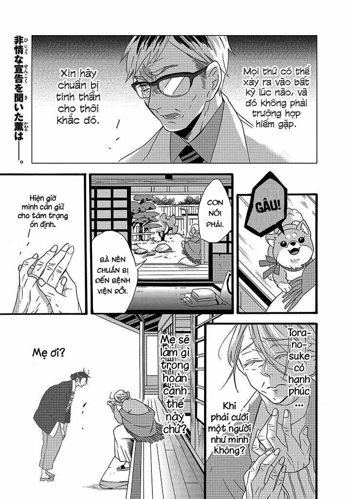 Will you marry me again if you are reborn?: Chapter 7: Như là Tastuko Ibuki