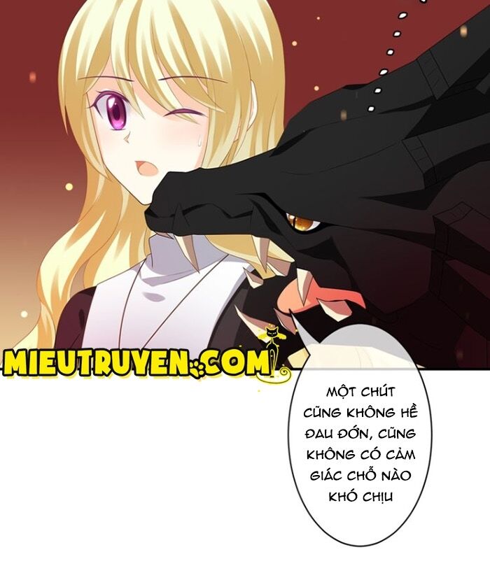 Độc nhãn ác ma của ta: Chapter 42: End