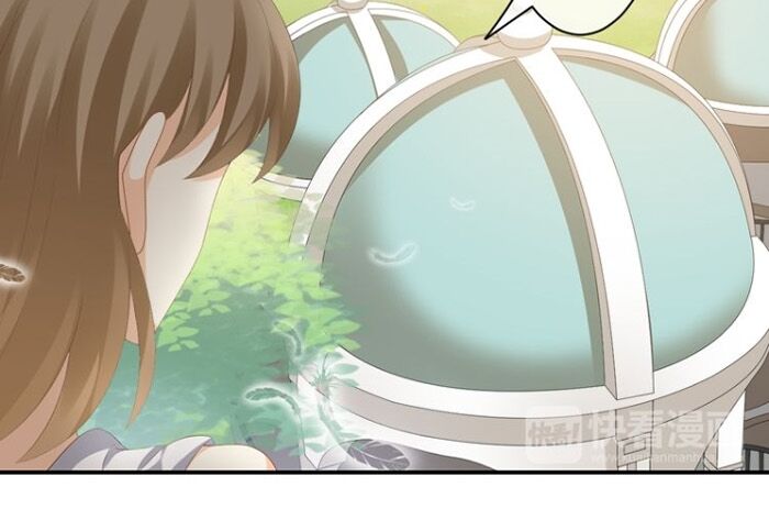 Độc nhãn ác ma của ta: Chapter 42: End