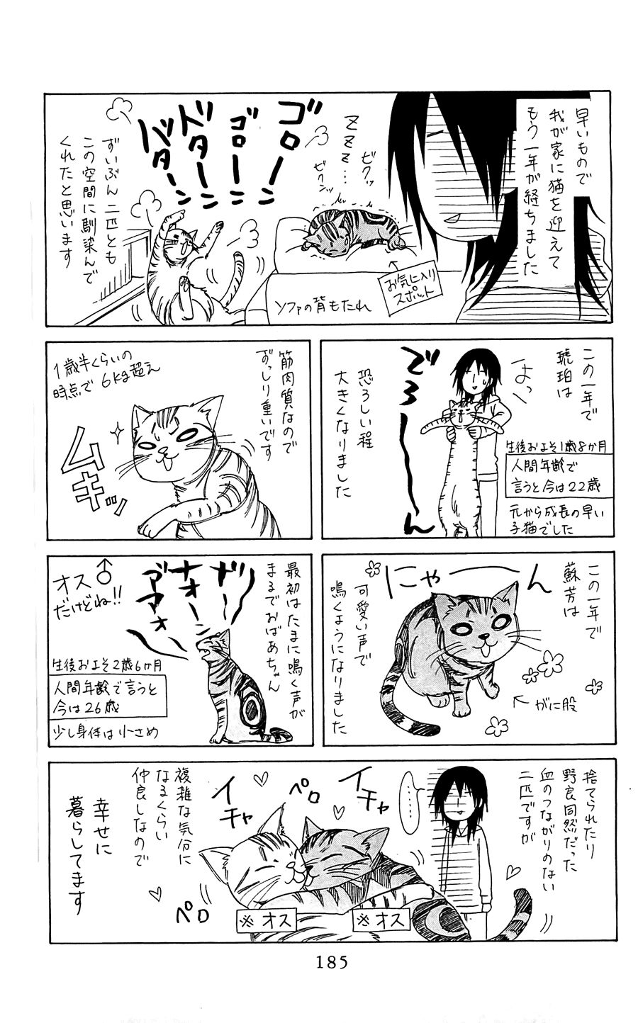 Khi sếp là hầu bàn: Chapter 65