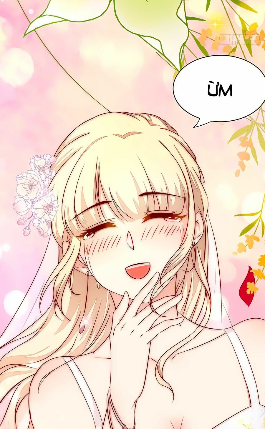 Lục Tiên Sinh Đừng Chọc Vào Tôi: Chapter 6
