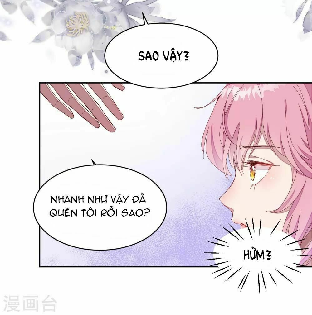 Tổng tài thịnh sủng tiền thê: Chapter 1