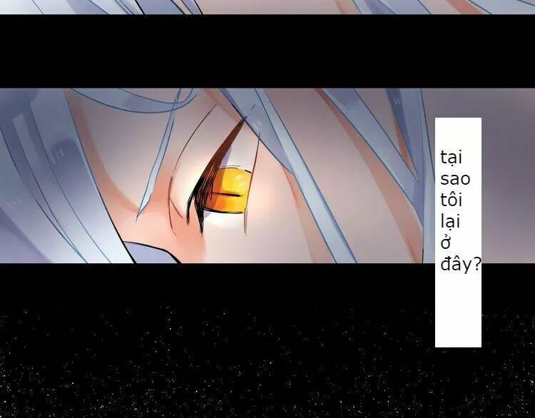 SOS! Tôi đã yêu một con sâu bướm: Chapter 0: Lời mở đầu