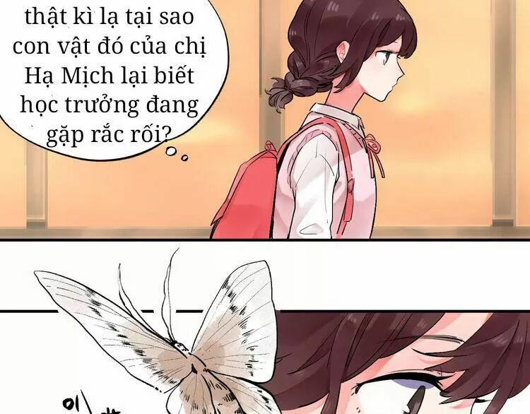 SOS! Tôi đã yêu một con sâu bướm: Chapter 21.1