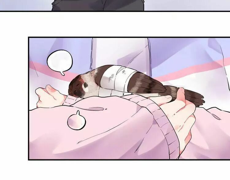 SOS! Tôi đã yêu một con sâu bướm: Chapter 26