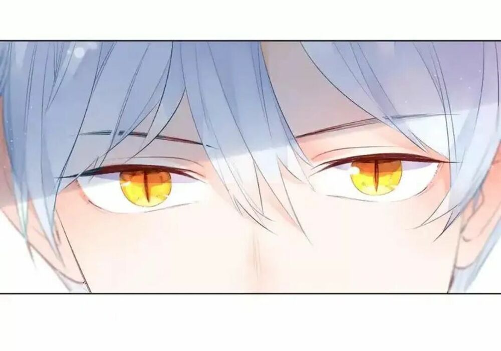 SOS! Tôi đã yêu một con sâu bướm: Chapter 39