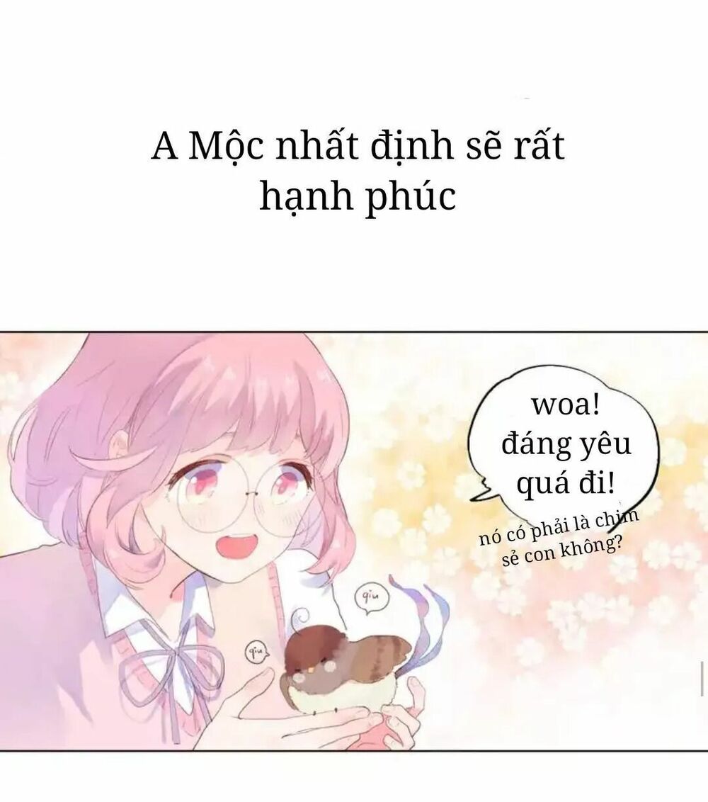 SOS! Tôi đã yêu một con sâu bướm: Chapter 39
